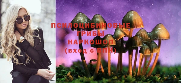 каннабис Дмитровск